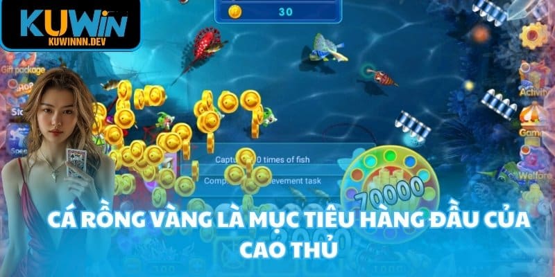 Cá rồng vàng là mục tiêu hàng đầu của cao thủ
